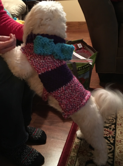 Pet sweater that fits most dogs...cats, too. Can be made to specific size,  please send dimensions.