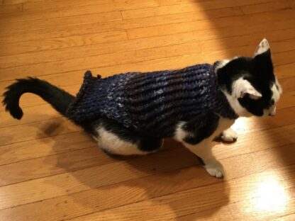 Pet sweater that fits most dogs...cats, too. Can be made to specific size,  please send dimensions.