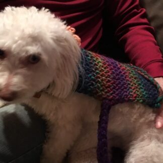 Pet sweater that fits most dogs...cats, too. Can be made to specific size,  please send dimensions.