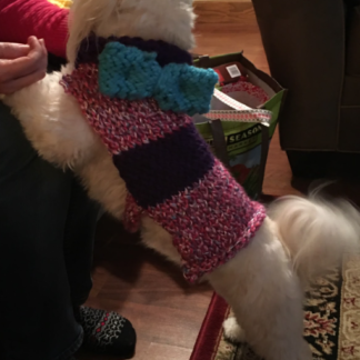 Pet sweater that fits most dogs...cats, too. Can be made to specific size,  please send dimensions.